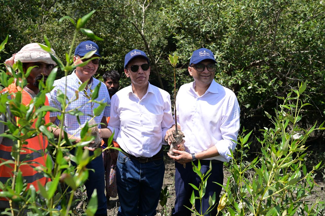 5000 mangroves planted to support coastal resilience
